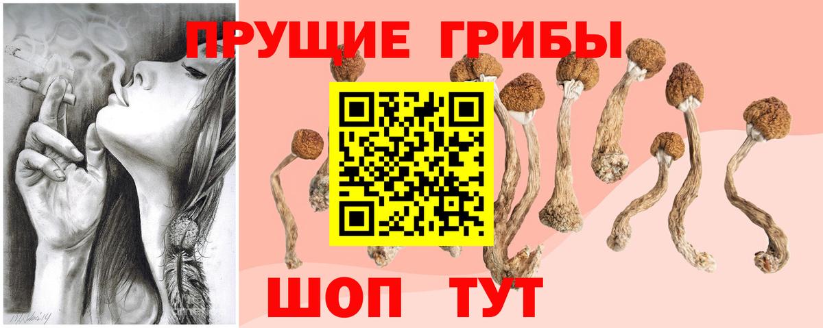 Аксай  Псилоцибиновые грибы GOLDEN TEACHER  Вход с VPN 
